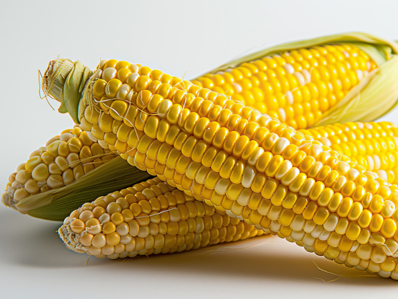 Animal Feed Maize RJ Sharvil