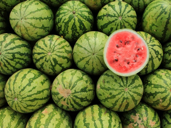 Watermelon RJ Sharvil